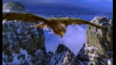 poster-6859-andersen-consulting-les-oiseaux-236x132