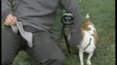 poster-686-audi-a3-wheels-236x132