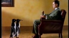 poster-6885-john-smith-s-pingouin-236x132