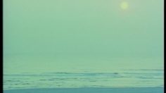 poster-6912-citroen-2-cv-charleston-l-amour-libre-236x132