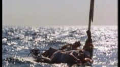 poster-6929-collective-de-la-viande-today-s-steak-dinner-cruise-236x132