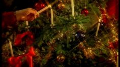 poster-6934-arla-creme-fraiche-christmas-236x132