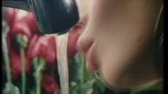 poster-6944-mobalpa-cuisine-dans-ma-cuisine-236x132