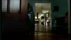 poster-6973-delmax-anti-douleur-rocker-236x132