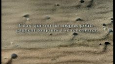 poster-6999-france-telecom-wanadoo-la-plage-236x132