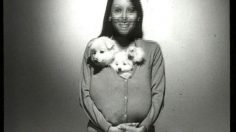 poster-7007-bel-tricots-les-chiots-236x132