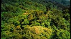 poster-701-tim-tribu-a-clapet-236x132