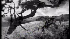 poster-7022-isuzu-rodeo-corporate-giant-236x132