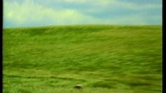 poster-7030-belle-des-champs-fromage-pique-nique-236x132