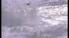 poster-706-pepsi-bob-dole-236x132