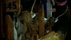 poster-7088-francaise-des-jeux-loto-l-etable-236x132