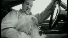 poster-710-protection-animaux-desert-236x132