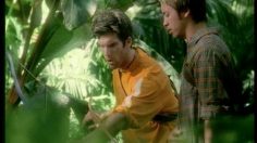 poster-711-reebok-sugar-236x132