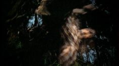 poster-7125-axe-apollo-tribal-women-236x132