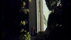 poster-7127-virgin-cola-le-supporter-236x132