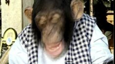 poster-7208-omo-tablets-celibataire-236x132