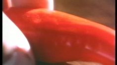 poster-7226-zegers-ddb-piment-236x132