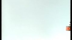 poster-7230-volkswagen-bunny-236x132