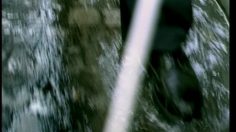 poster-7278-protection-environnement-proprete-l-aveugle-236x132