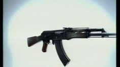 poster-7302-croix-rouge-anti-armes-le-fusil-236x132