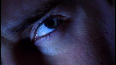 poster-7335-sas-scandinavian-airlines-a-poil-devant-le-fridge-236x132