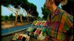 poster-7342-champignon-de-paris-marchande-236x132