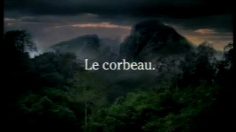 poster-7344-tele2-le-cri-236x132