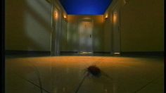 poster-7395-baygon-insecticide-les-cafards-236x132