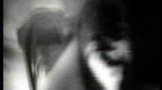 poster-7403-adidas-predator-the-intruder-236x132