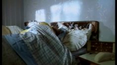 poster-7419-9-telecom-le-reveil-236x132