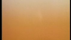 poster-7428-budweiser-poulet-236x132