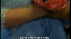 poster-743-milijonar-wedding-236x132