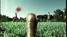 poster-7442-msn-com-ver-de-terre-236x132