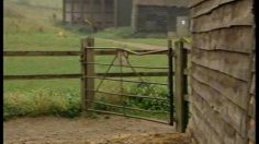 poster-7446-cartoon-network-chaine-de-television-le-mur-236x132