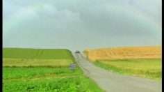 poster-748-happy-days-card-l-auto-stoppeuse-236x132