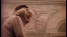 poster-7505-whiskas-insights-236x132