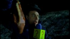 poster-7593-challenge-tv-les-chiens-236x132