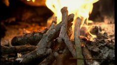 poster-7604-anti-drogue-savoir-plus-les-hommes-prehistoriques-236x132