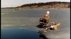 poster-7615-trygg-hansa-le-trou-d-eau-236x132