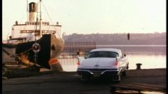 poster-7625-trygg-hansa-pipi-236x132