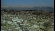 poster-7653-monoprix-prisunic-le-hippie-236x132