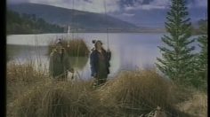 poster-7661-molson-les-mouches-236x132