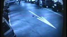 poster-767-winner-ch-partnerwinner-ch-garage-236x132