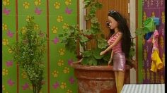 poster-7684-mtv-chaine-de-television-la-nature-ca-pue-236x132