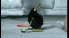 poster-7697-kiss-cool-bestioles-236x132