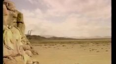 poster-7699-nissin-cup-noodle-l-autruche-236x132