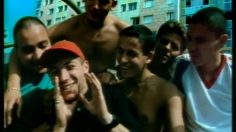 poster-7702-champignon-de-paris-la-cite-236x132