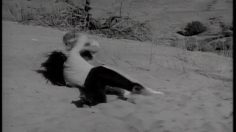 poster-7748-axe-deodorant-beach-fight-236x132