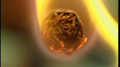 poster-7762-anti-tabac-quit-artery-236x132