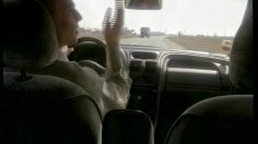 poster-7782-sampo-buzzzzzz-236x132